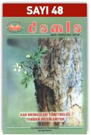 48Sayi