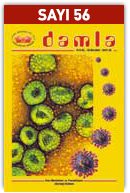 56Sayi