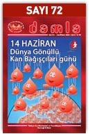 72Sayi