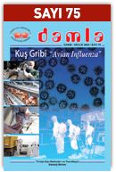75Sayi