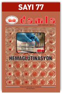 77Sayi