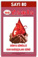 80Sayi