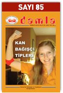 85Sayi
