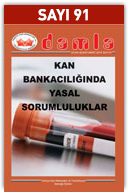 91Sayi